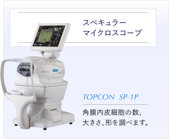 スペキュラーマイクロスコープ 角膜内皮細胞の数、大きさ、形を調べます。